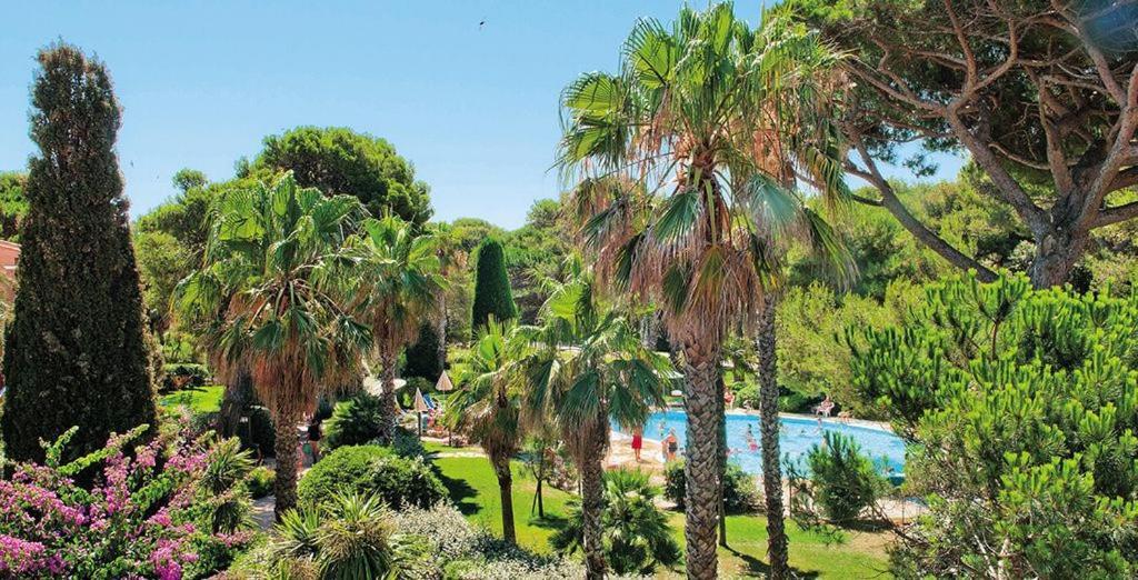 La Badine 5P Plage Piscine Clim Jacuzzi Parc Luxuriant Йер Экстерьер фото